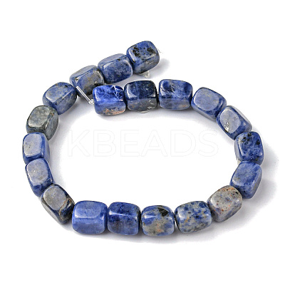 Natural Sodalite Beads Strands G-F743-02I-1
