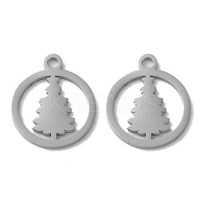 Non-Tarnish 304 Stainless Steel Charms STAS-F300-02P-1
