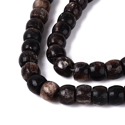 Natural Biotite Beads Strands G-Q616-02A-11-1