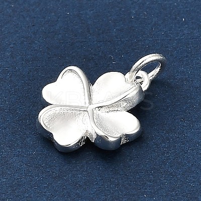 925 Sterling Silver Charms FIND-Z069-04S-C-1