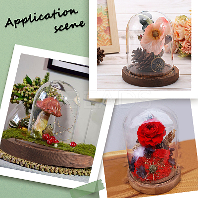 1Pc Glass Dome Cover AJEW-SC0002-60A-04-1
