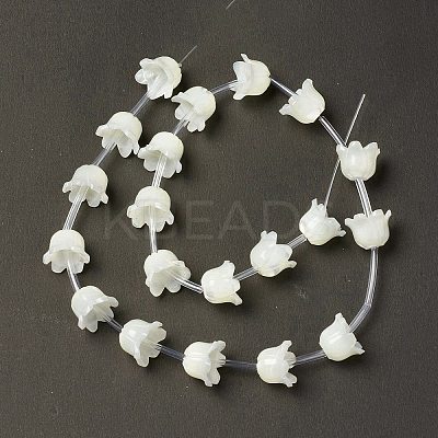 Natural Trochid Shell/Trochus Shell Bead Caps BSHE-B005-03-1