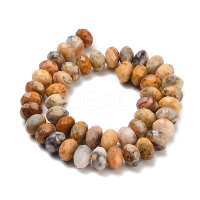 Natural Crazy Agate Beads Strands G-C259-A04-6x10mm-1