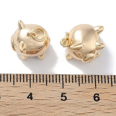 Brass Charms LS-KK-C077-11G-1