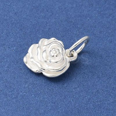 S925 Sterling Silver Pendant STER-H115-08C-S-1
