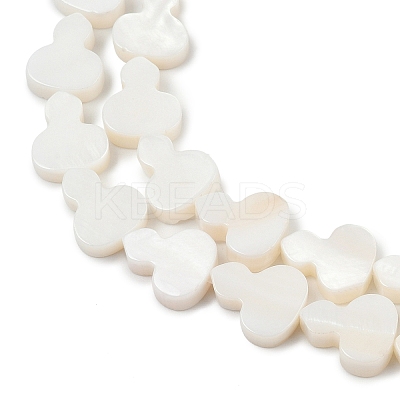 Natural Freshwater Shell Beads Strands SHEL-K010-02B-1