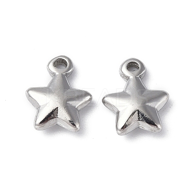Non-Tarnish 304 Stainless Steel Charms STAS-C066-19P-1