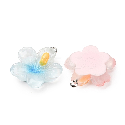 Transparent Resin Pendants RE-CBA5F64-01-1