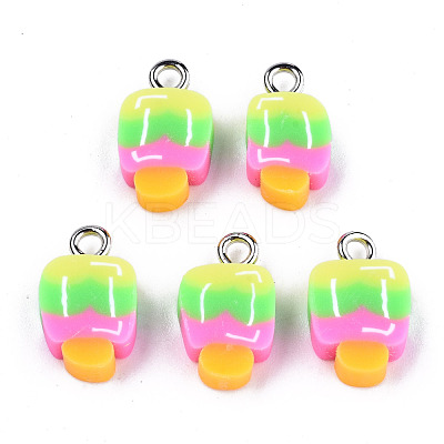 Handmade Polymer Clay Charms CLAY-T016-56-1