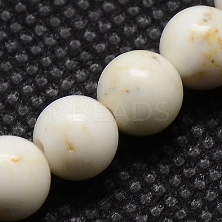 Natural Magnesite Beads Strands X-TURQ-G103-6mm-1