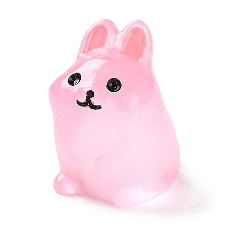 Rabbit Luminous Resin Display Decorations DJEW-F023-B01-1