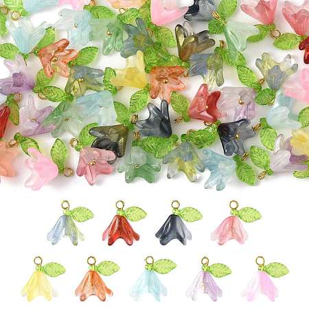 50Pcs Transparent Acrylic Pendants PALLOY-FS00043-02-1