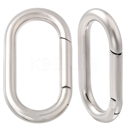 2Pcs Stainless Steel Spring Gate Clasps FIND-BBC0004-49-1