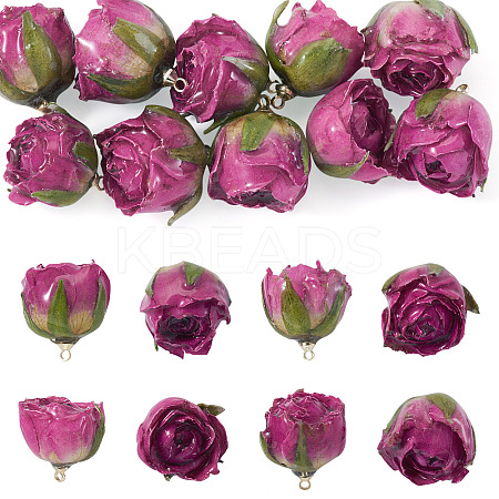 10Pcs Preserved Rose Pendants KY-TA0001-59B-1