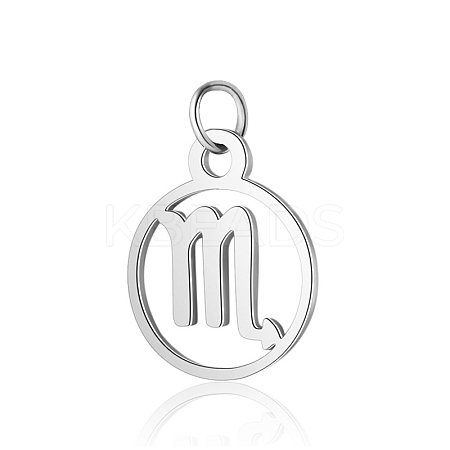 Non-Tarnish 304 Stainless Steel Charms STAS-T036-T513-A8-1