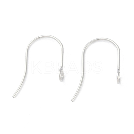 Tarnish Resistant 316 Surgical Stainless Steel Earring Hooks LS-X-STAS-P162-13P-B01-1