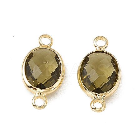 Transparent K9 Glass Connector Charms GLAA-A005-10G-08-1