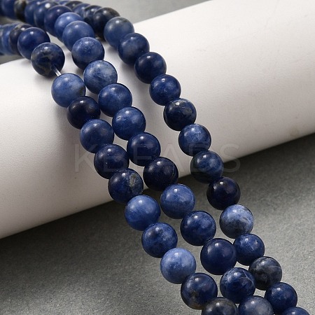 Natural Sodalite Round Bead Strands G-P072-27-4mm-1