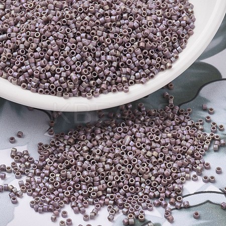 MIYUKI Delica Beads SEED-J020-DB2321-1