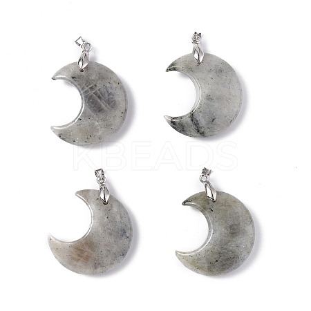 Natural Labradorite Pendants G-Z022-04L-1