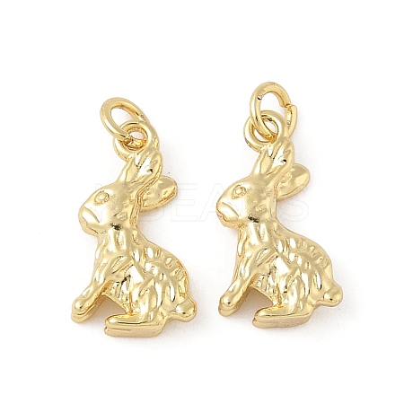 Brass Pendants KK-L245-03G-01-1