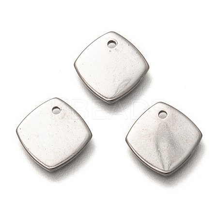 304 Stainless Steel Charms STAS-H128-08P-1