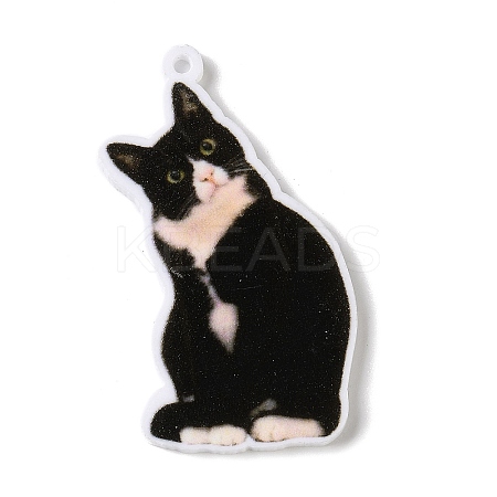 Opaque Printed Acrylic Pendants SACR-F018-01D-1