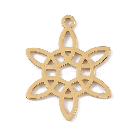 304 Stainless Steel Pendants STAS-B062-03G-1