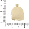 Brass Enamel Pendants LS-KK-F886-01G-06-3
