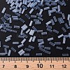 Transparent Glass Bugle Beads SEED-N005-001-C08-4