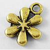 Tibetan Style Alloy Charms LS-GLF0298Y-1
