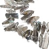 Natural Labradorite Beads Strands G-Z124-C01-01-4