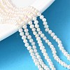 Natural Cultured Freshwater Pearl Beads Strands PEAR-I007-07K-02B-1