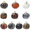 10Pcs Natural & Synthetic Mixed Gemstone Pumpkin Charms with Golden Tone Brass Bails G-YW0002-45-1