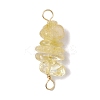 10Pcs 5 Styles Constellation Natural Garnet & Rose Quartz & Tiger Eye & Amethyst & Strawberry Quartz Copper Wire Wrapped Chip Beaded Connector Charms PALLOY-JF02905-11-3