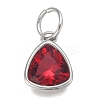 304 Stainless Steel Cubic Zirconia Pendant ZIRC-P080-B07-1