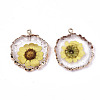 Transparent Clear Epoxy Resin & Dried Flower Pendants X-RESI-S383-074-2