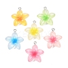 Transparent Resin Pendants RESI-P048-01P-1