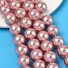 Electroplated Shell Pearl Beads Strands BSHE-G041-14mm-05-5