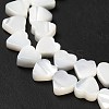 Natural Trochid Shell/Trochus Shell Beads Strands BSHE-E026-19-4