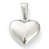 304 Stainless Steel Pendants STAS-P278-01T-P-2