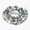 Natural Tree Agate Beads Strands G-S332-12mm-010-3
