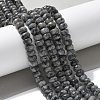 Faceted Natural Labradorite Rondelle Beads Strands G-K090-02-4