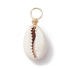 Natural Cowrie Shell Pendants PALLOY-JF02681-01-3