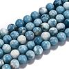 Natural Gemstone Beads Strands G-L367-01-10mm-4