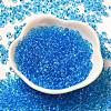 Transparent Colours Glass Seed Beads X1-SEED-P006-02A-08-2