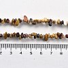 Natural Supper 7 Rutilated Quartz Chip Beaded Necklaces for Men Women NJEW-G159-01K-5