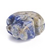 Natural Sodalite Display Decorations DJEW-J004-02C-3