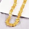Natural Amber Chip Beaded Necklaces NJEW-L466-03C-2