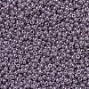 MIYUKI Round Rocailles Beads X-SEED-G007-RR0437-3